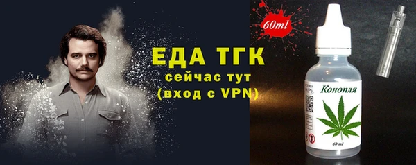 индика Навашино