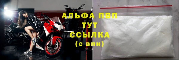 винт Надым