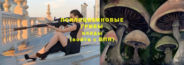 индика Навашино