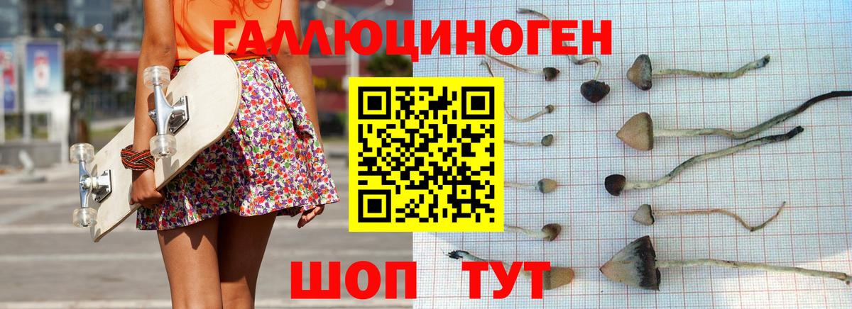 Псилоцибиновые грибы Psilocybe Мичуринск